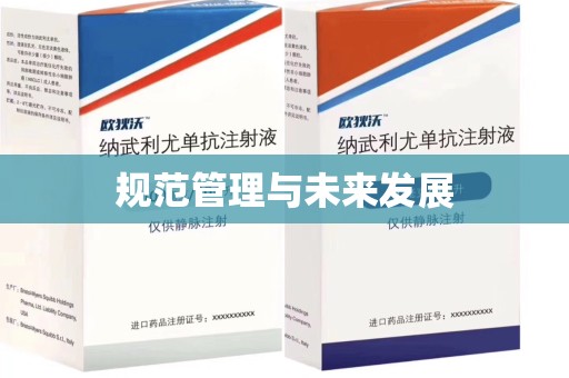 安庆规范管理与未来发展