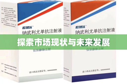 安庆探索市场现状与未来发展