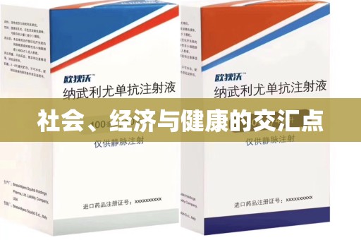 安庆社会、经济与健康的交汇点