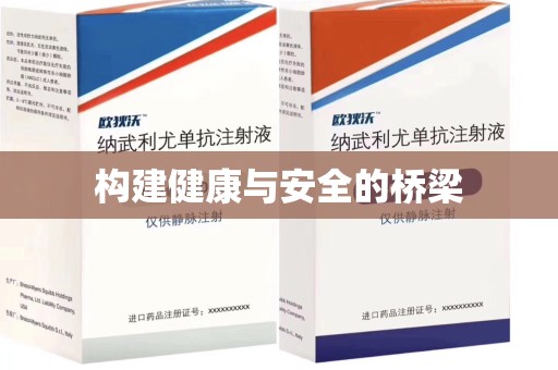 安庆构建健康与安全的桥梁