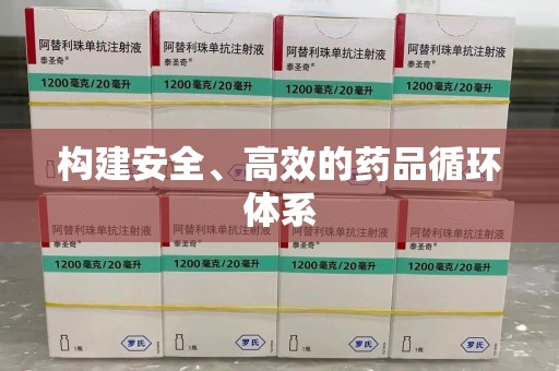安庆构建安全、高效的药品循环体系