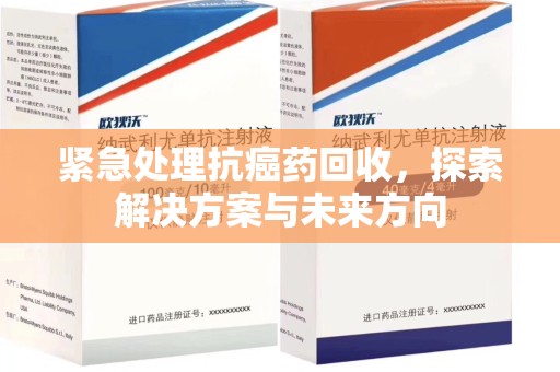 安庆紧急处理抗癌药回收，探索解决方案与未来方向