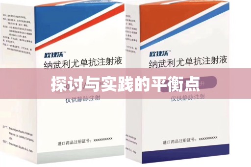 安庆探讨与实践的平衡点