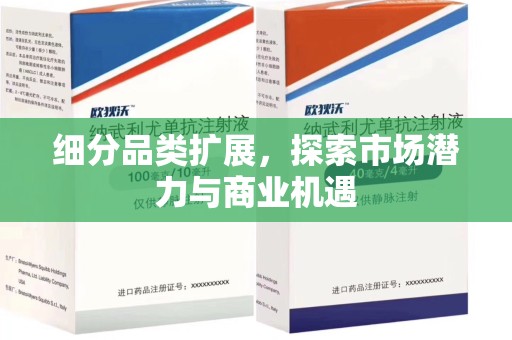 安庆细分品类扩展，探索市场潜力与商业机遇