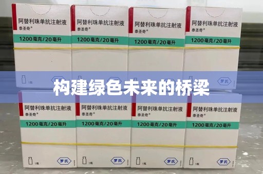 安庆构建绿色未来的桥梁