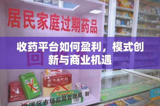 安庆收药平台如何盈利，模式创新与商业机遇