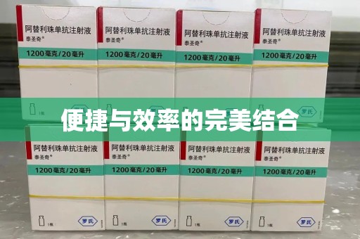 安庆便捷与效率的完美结合